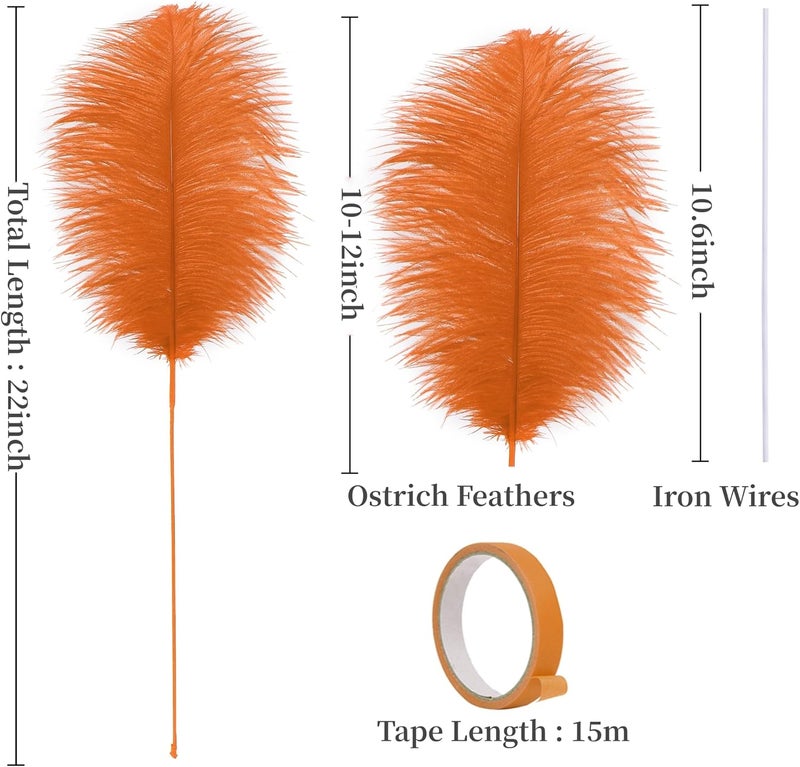 Holmgren Orange Ostrich Feathers Bulk - 20pcs Making Kit 22 Inch Ostrich Feathers for Vase, Floral Arrangement, Wedding Party Centerpieces and Halloween Home Decor (Orange) - Image 4